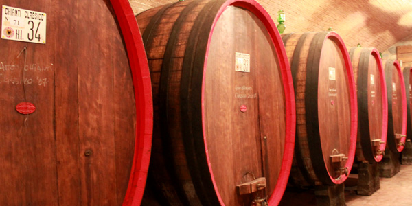 Wine cellar in Chianti
